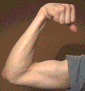 Left arm