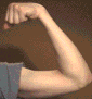 Right arm